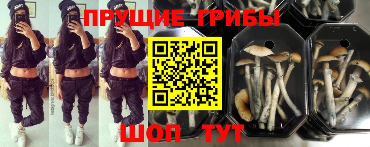 Псилоцибиновые грибы ЛСД  Вход с VPN  Кропоткин 